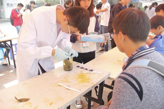 工作人员分发叶子